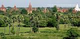 TEMPLI NELLA VALLE DI BAGAN 15